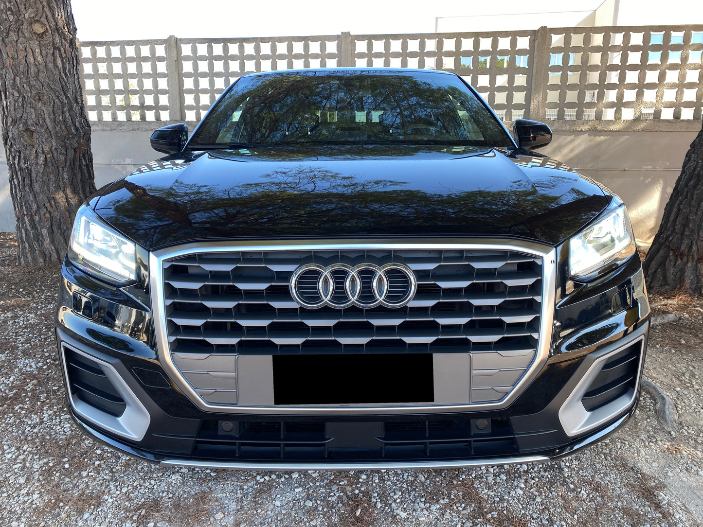 Audi q2 1.6 tdi 116cv s-tronic s-line 2018