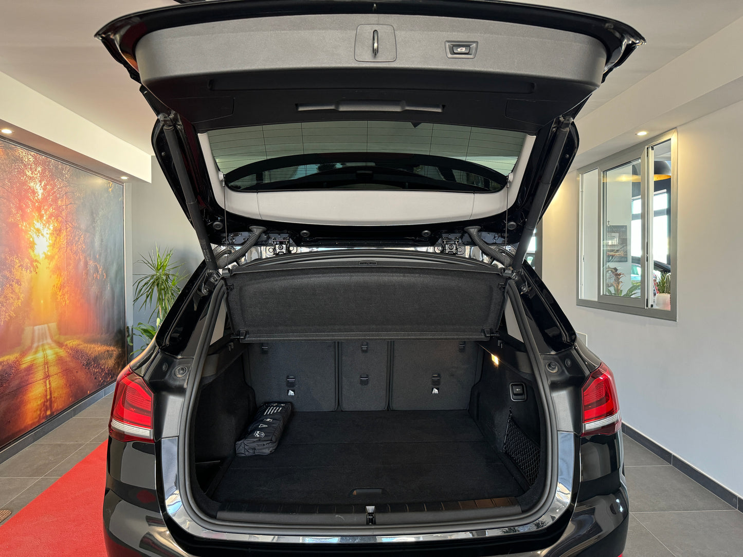 Bmw x1 sdrive 18d business advantage 2021