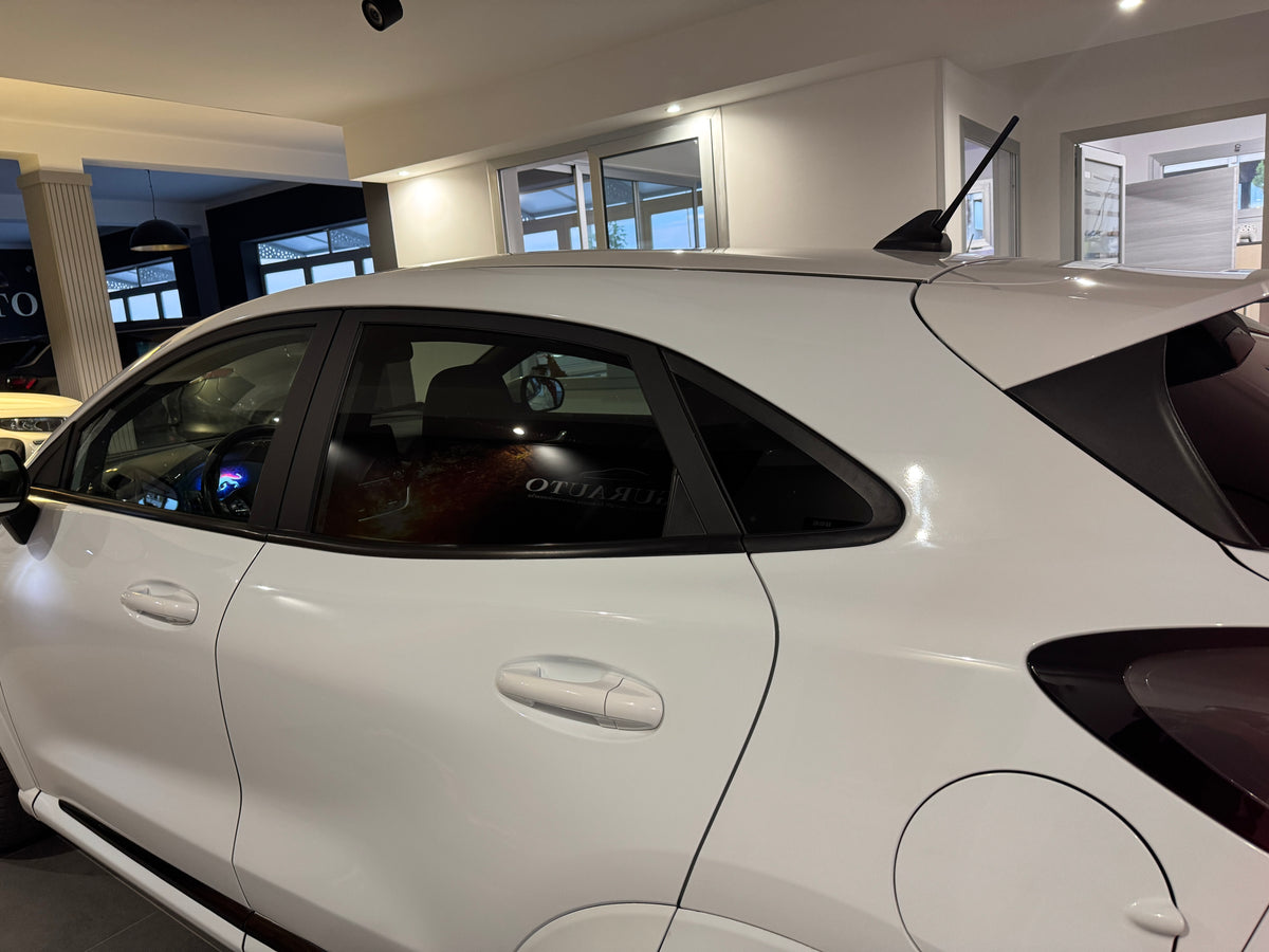 Ford Puma N1 1.0 Ecoboost Hybrid 125cv St-Line 2021