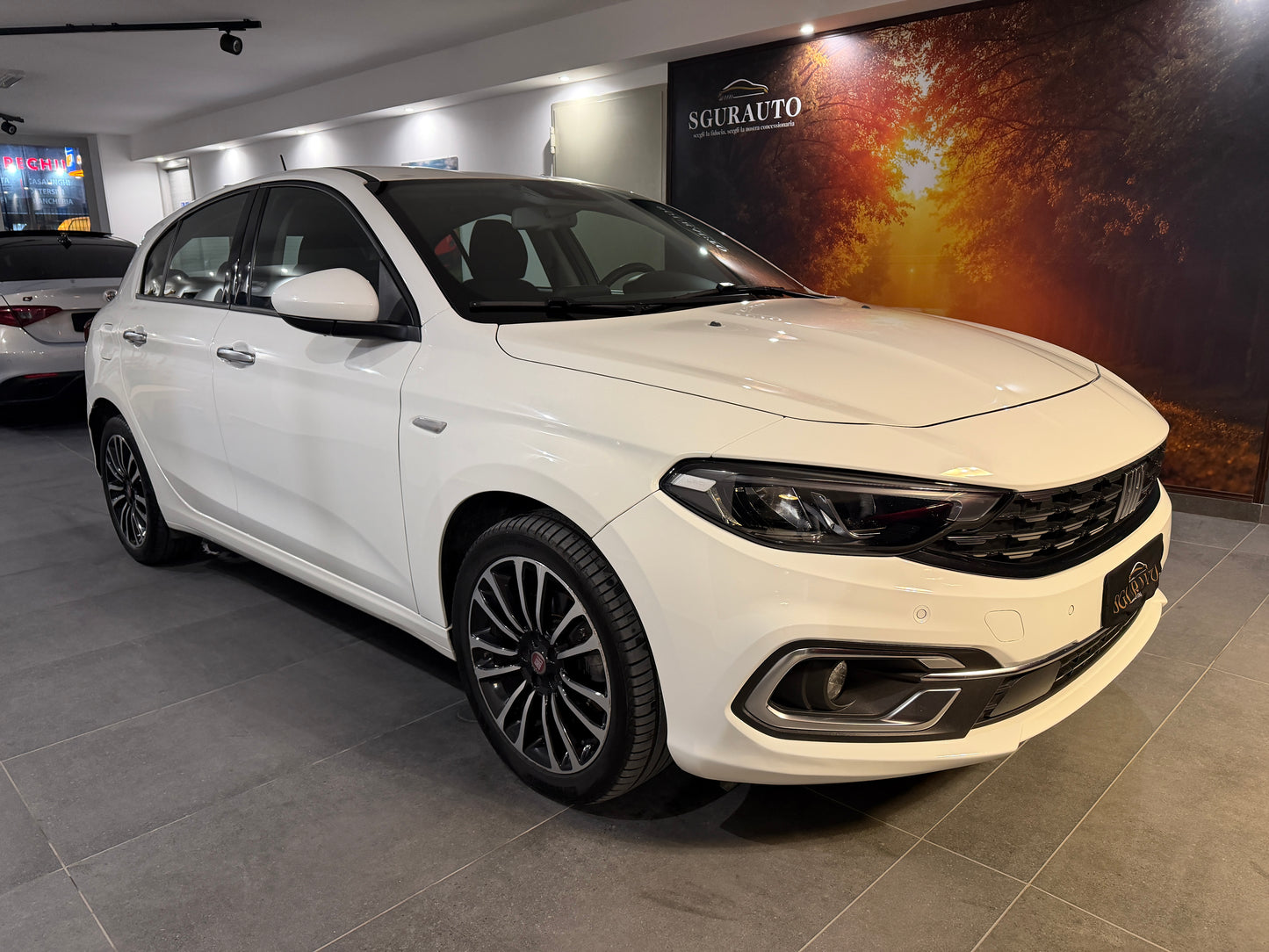 Fiat Tipo 1.6 Mjt 130 Cv S&S Business 2022