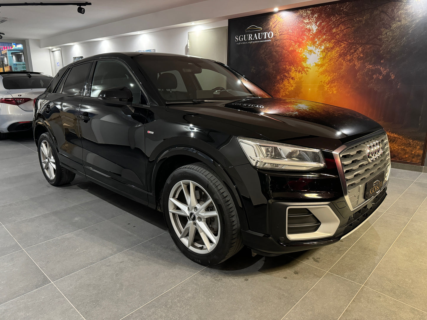 Audi q2 1.6 tdi 116cv s-tronic s-line 2018