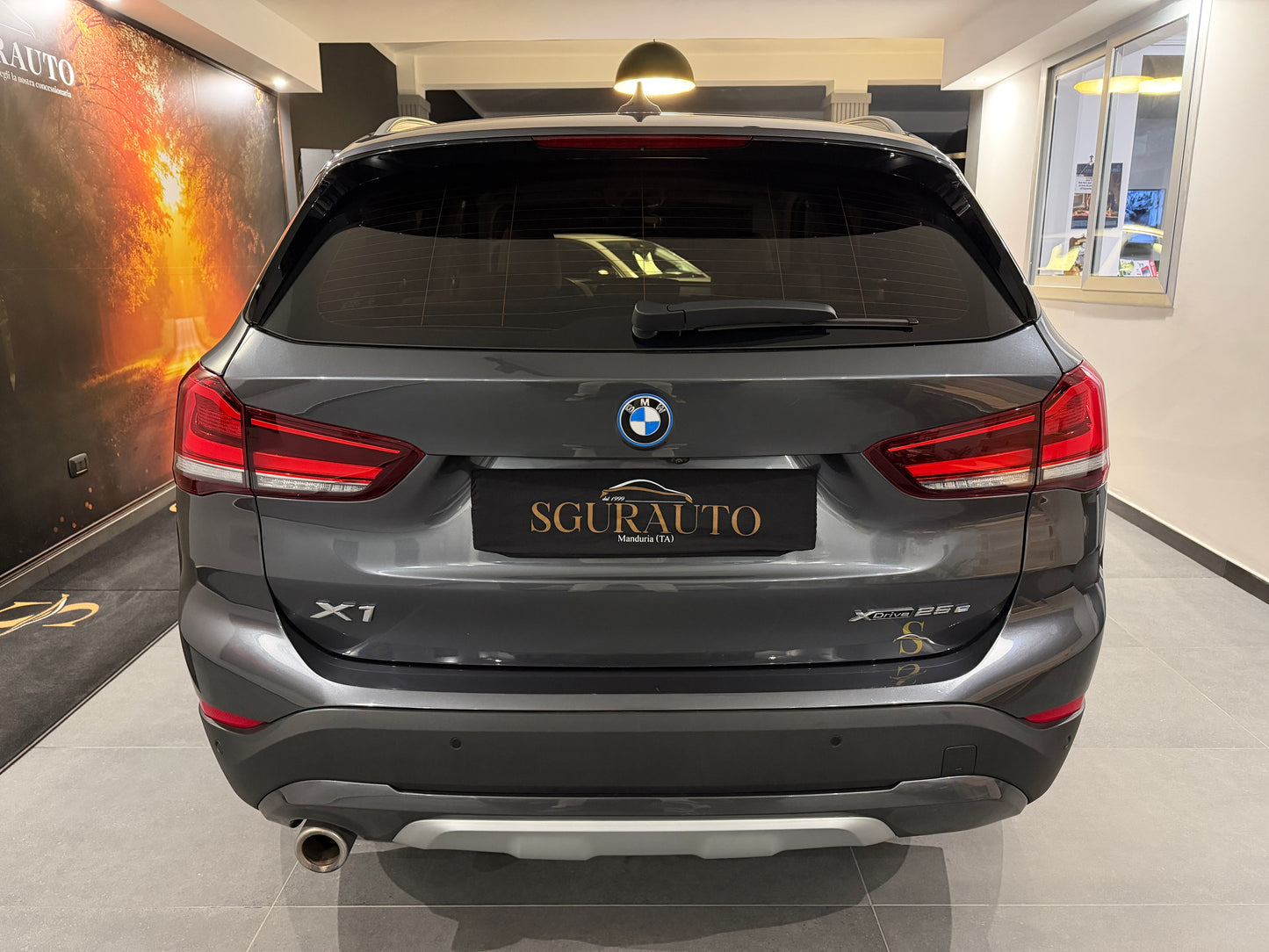 BMW x1 xDrive25e PHEV xLine Plus 2022