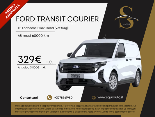 FORD TRANSIT COURIER 1.0 Ecoboost 100cv Trend (Vet furg)
